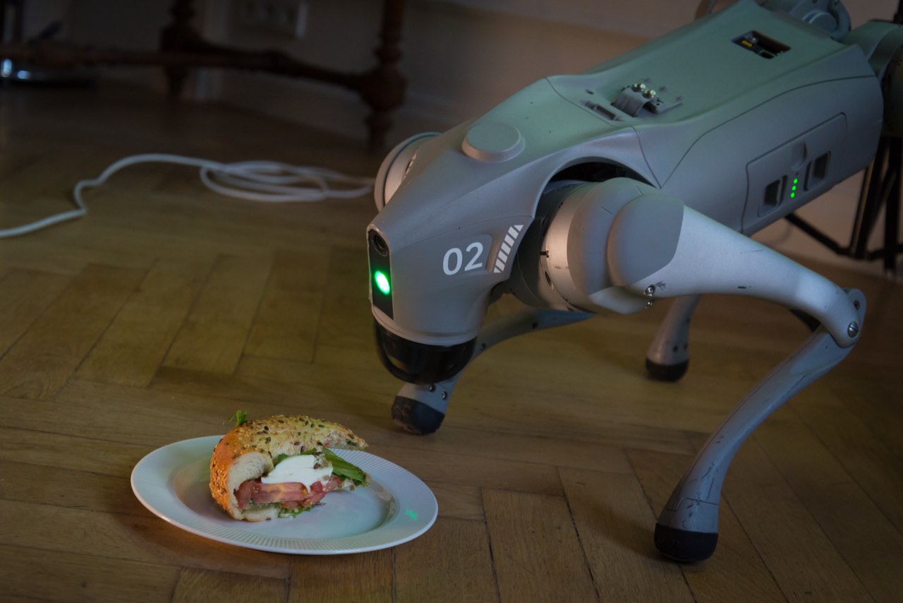 Śniadanie Robotyczne — Robopies stojący na stole nad kanapkami
